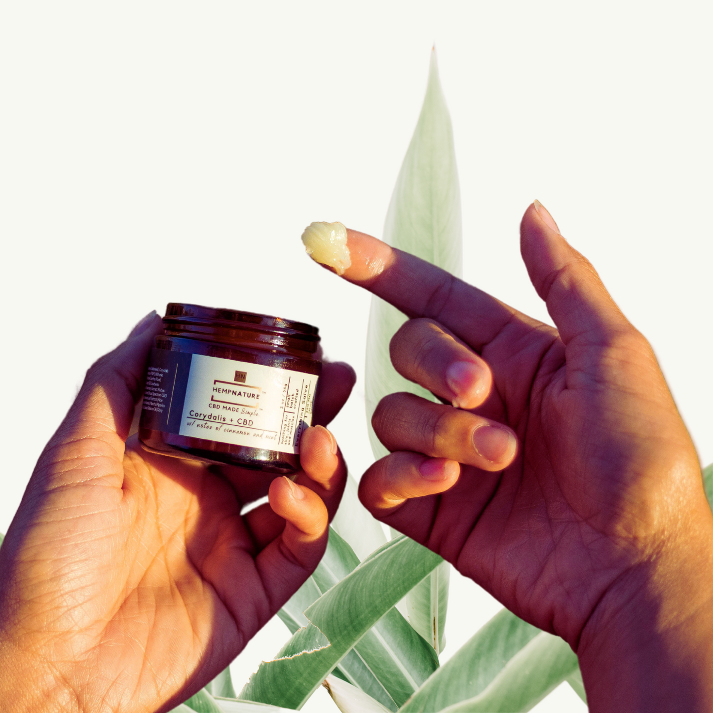 Everything Salve | Corydalis + CBD 2oz