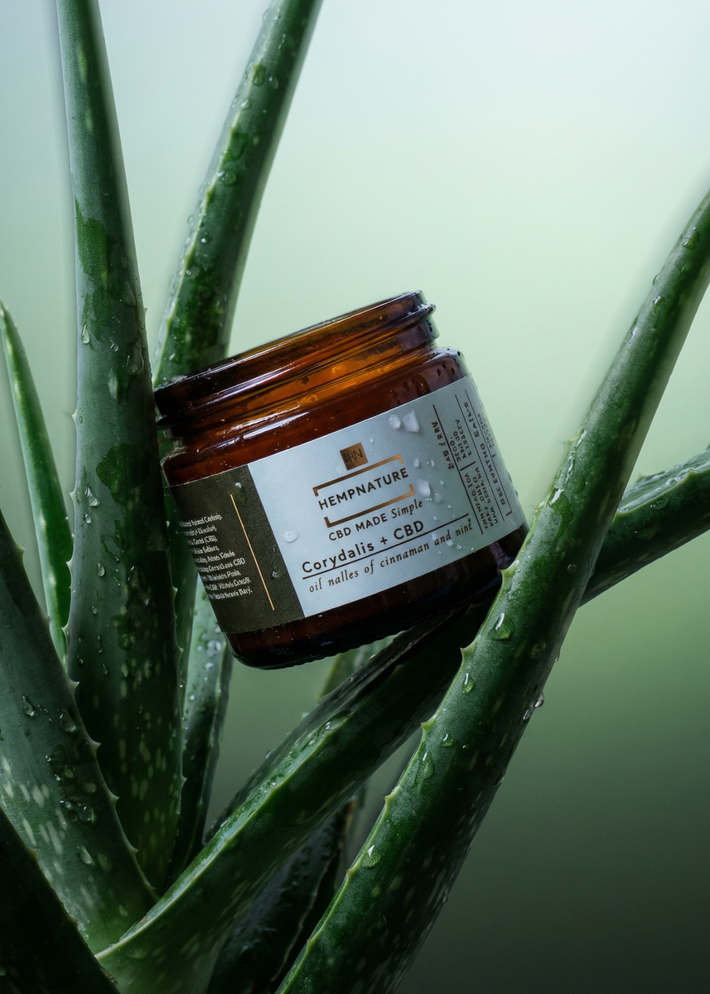 Everything Salve | Corydalis + CBD 2oz